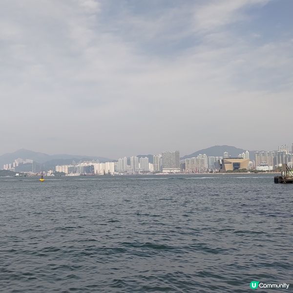 ## 香港島遊打卡必去🔥港澳碼頭超靚維多利亞港景色📸💜