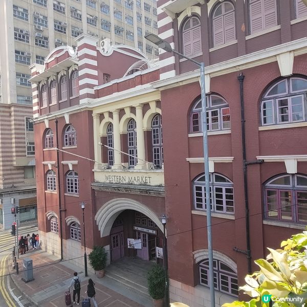 ## 香港島遊打卡必去🔥港澳碼頭超靚維多利亞港景色📸💜