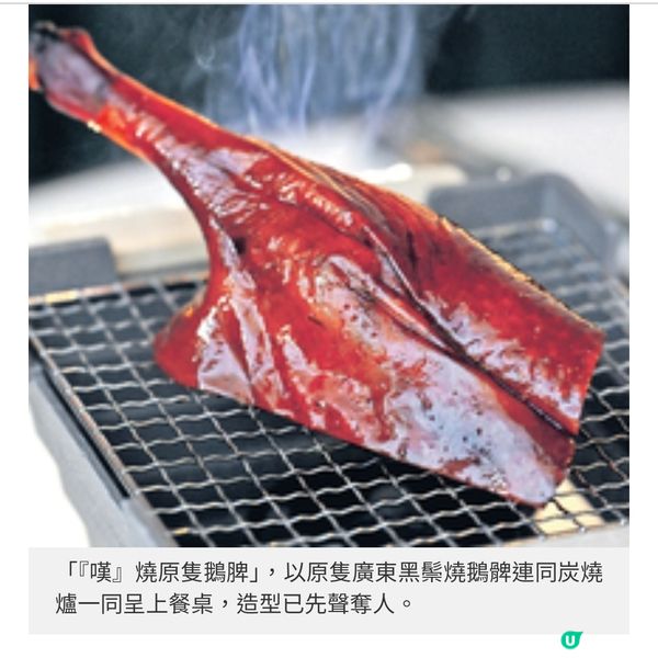 鏞記年輕版:鏞鏞・藝嚐館