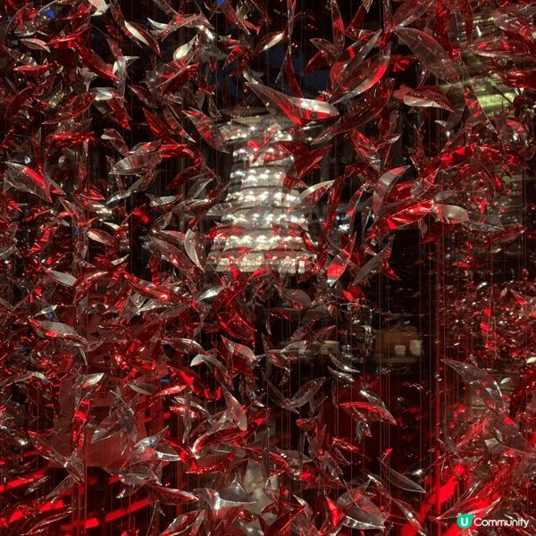 聖誕假期，除咗去影好多唔同嘅聖誕燈飾之外，仲好建議大家去做吓...