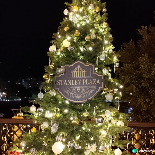 ## 赤柱海旁打卡聖地🔥熊貓聖誕樹勁靚勁有feel🤩💜