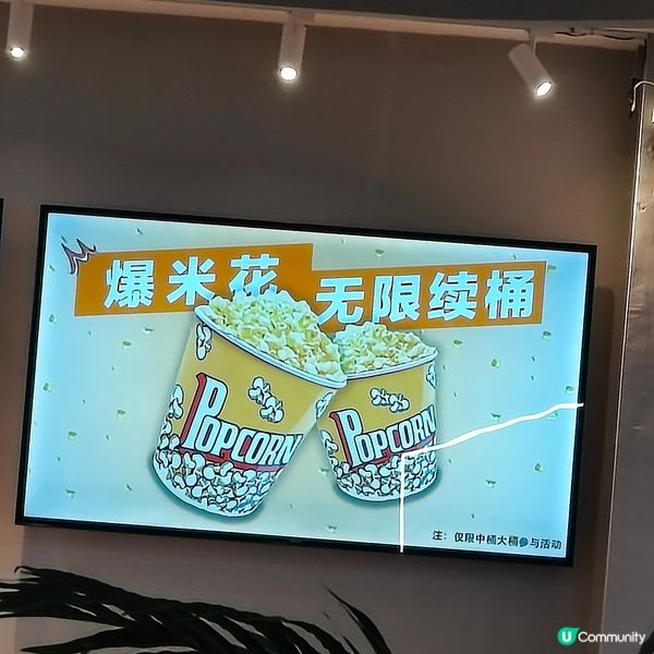 包場看電影丨獅子王：木法沙傳奇