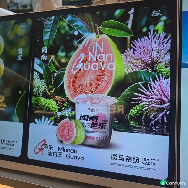 芭樂油柑王