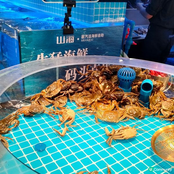 山海人氣蒸氣火鍋