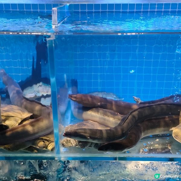 山海人氣蒸氣火鍋