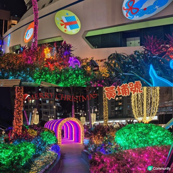 黃埔花園燈飾都不錯