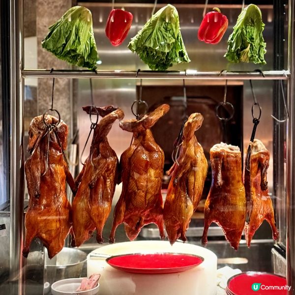 迷人可樂@Alva House