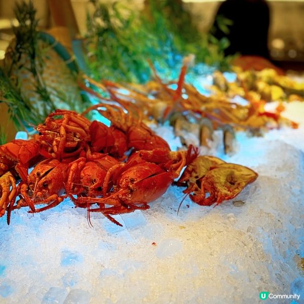 迷人可樂@Alva House