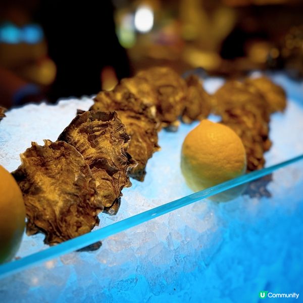 迷人可樂@Alva House