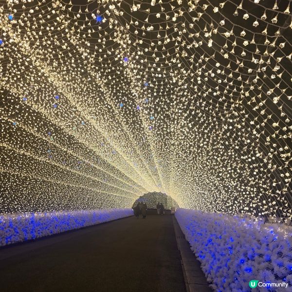 浪漫之隧道🌟⭐️🌟⭐️
