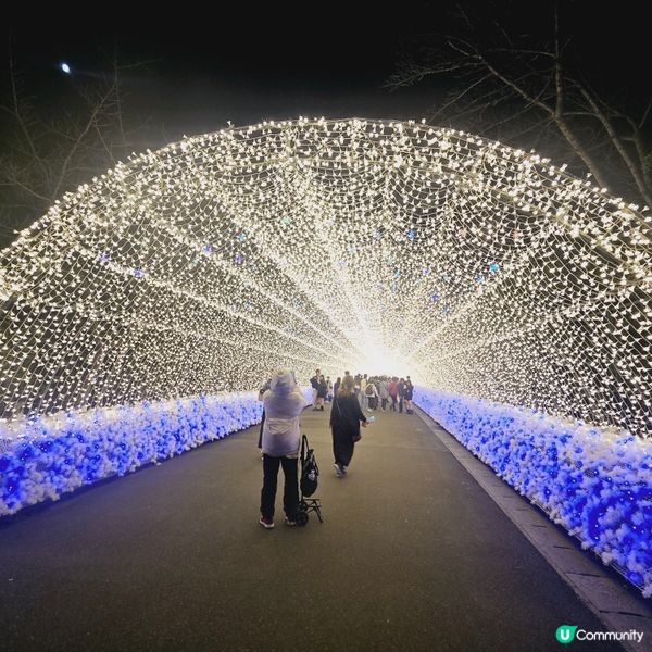 浪漫之隧道🌟⭐️🌟⭐️