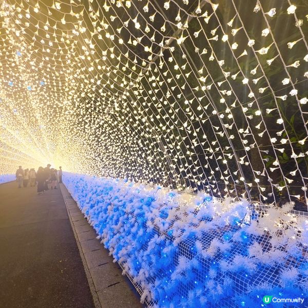 浪漫之隧道🌟⭐️🌟⭐️