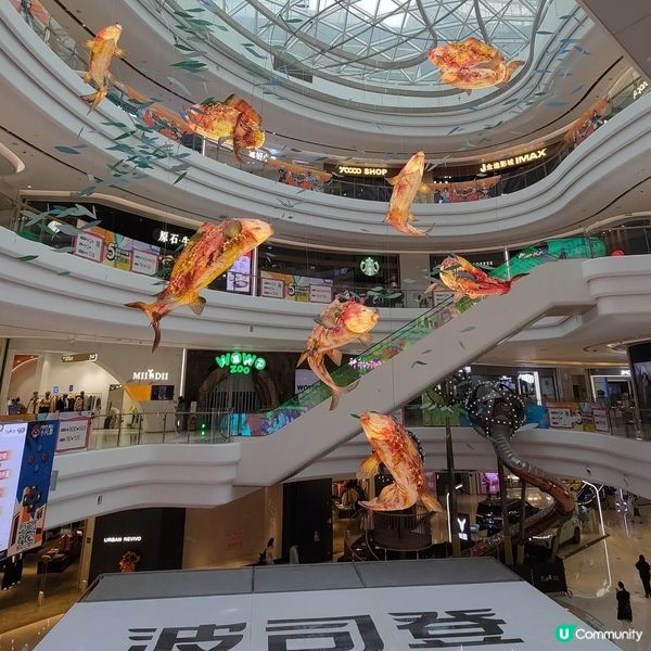 ## 深圳必食曼格活海鮮自助餐🦀️現撈超生蜢活海鮮💜