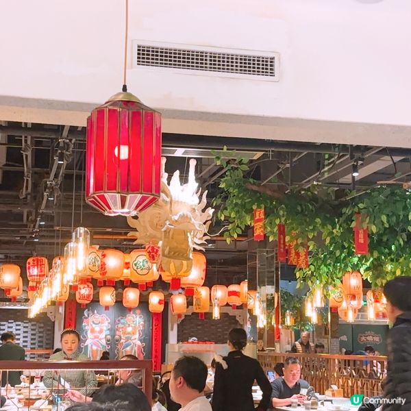 深圳必食大鴿飯‼️‼️