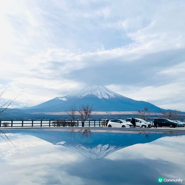 東京8日7夜上網卡實測！🤩