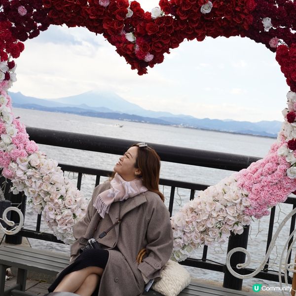 東京8日7夜上網卡實測！🤩