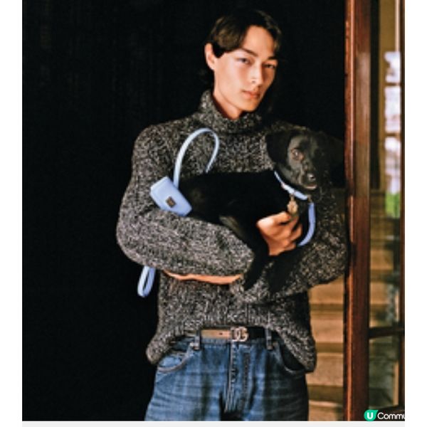 Dolce & Gabbana首個狗系列