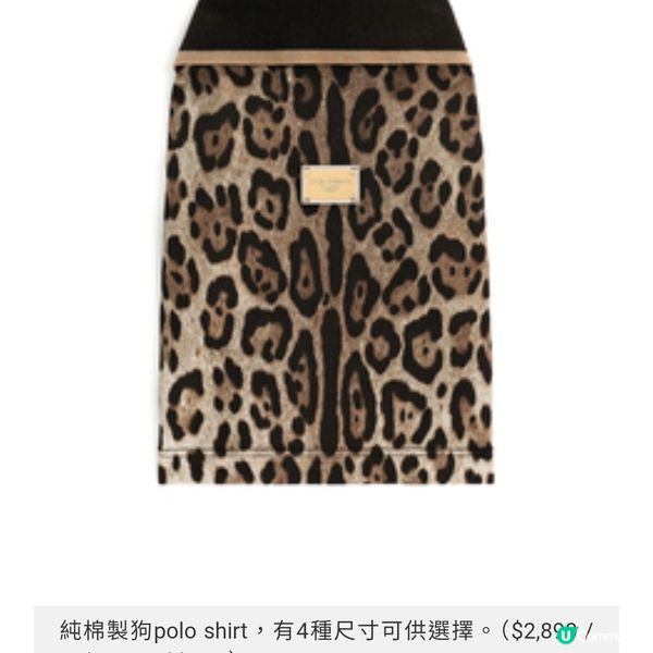 Dolce & Gabbana首個狗系列