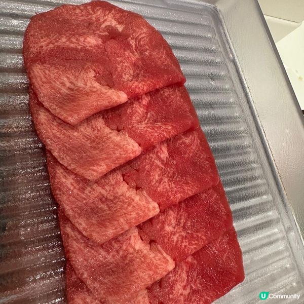 任食活蝦泰式火鍋🍲