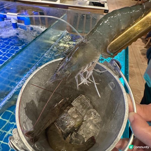 任食活蝦泰式火鍋🍲