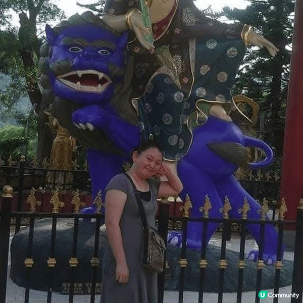 香港是一個購物天堂，但我選擇沙田萬佛寺，拜神，求觀音保佑合家...