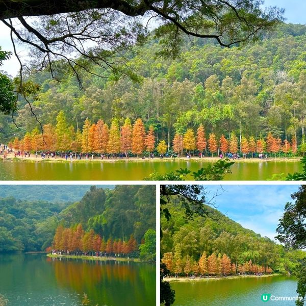 冬日限定熱門行山路徑 — 流水響