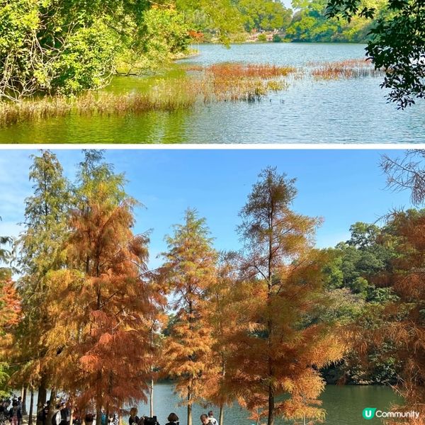 冬日限定熱門行山路徑 — 流水響