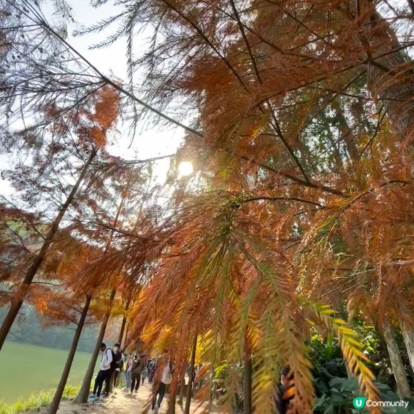 冬日限定熱門行山路徑 — 流水響