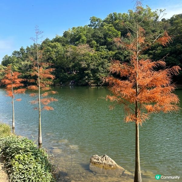 冬日限定熱門行山路徑 — 流水響