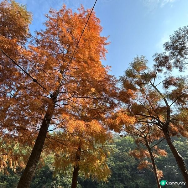 冬日限定熱門行山路徑 — 流水響