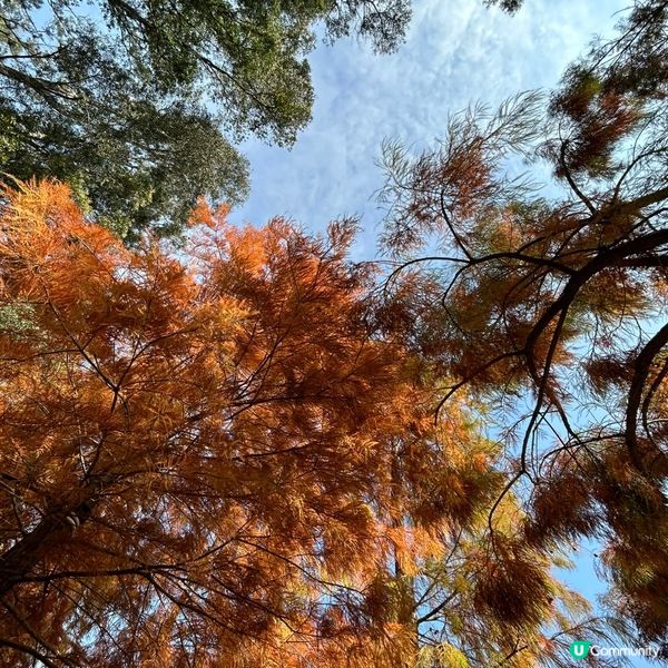 冬日限定熱門行山路徑 — 流水響