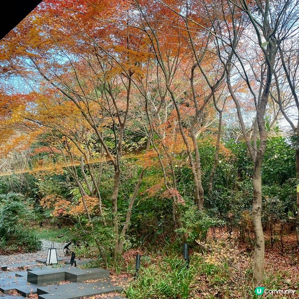 箱根小涌園 天悠 🇯🇵 私人風呂酒店 ♨️