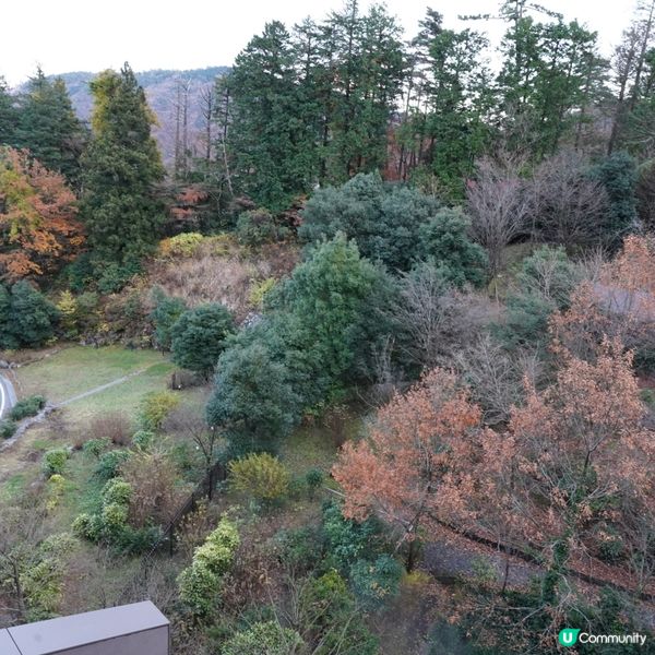 箱根小涌園 天悠 🇯🇵 私人風呂酒店 ♨️