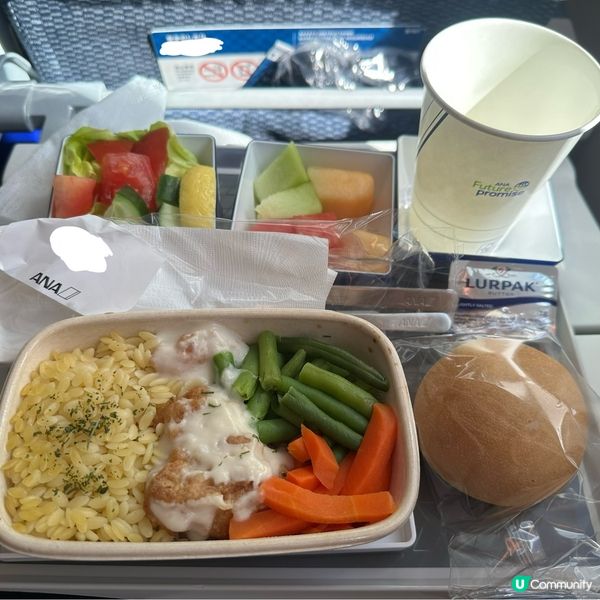 ✈️ANA飛機餐驚喜！三文魚柳😍