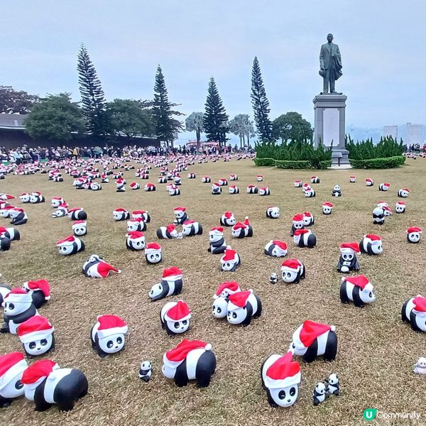 「PANDA GO」熊貓展覽 - 中山紀念公園