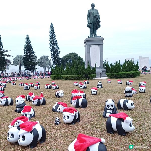 「PANDA GO」熊貓展覽 - 中山紀念公園