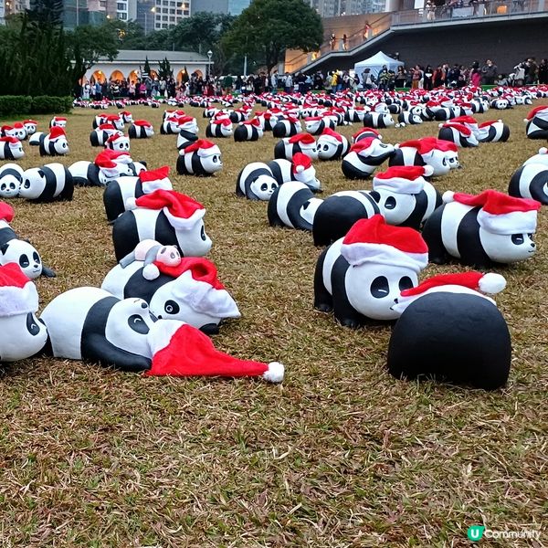 「PANDA GO」熊貓展覽 - 中山紀念公園