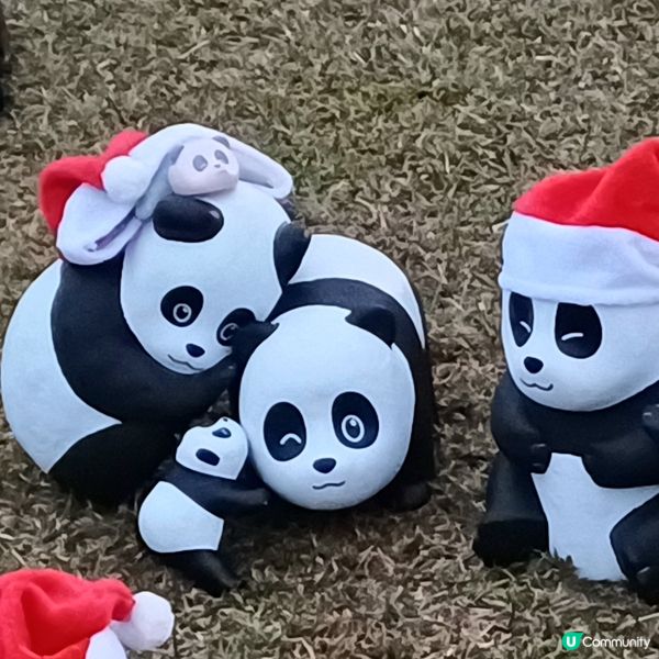 「PANDA GO」熊貓展覽 - 中山紀念公園