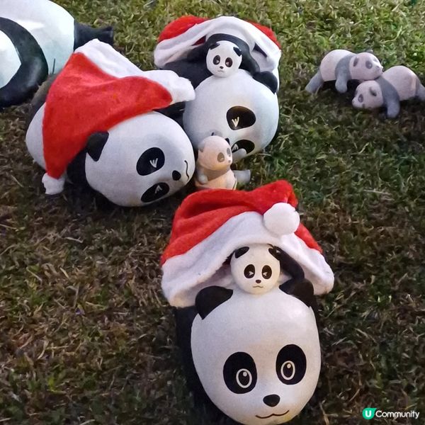 「PANDA GO」熊貓展覽 - 中山紀念公園
