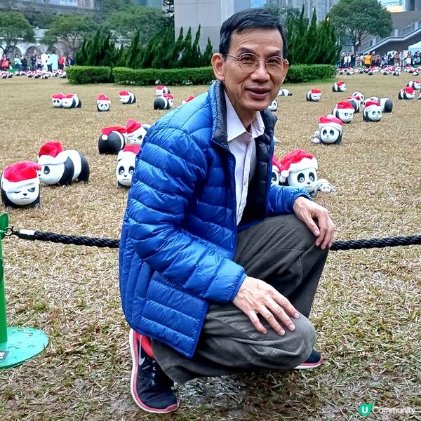 「PANDA GO」熊貓展覽 - 中山紀念公園