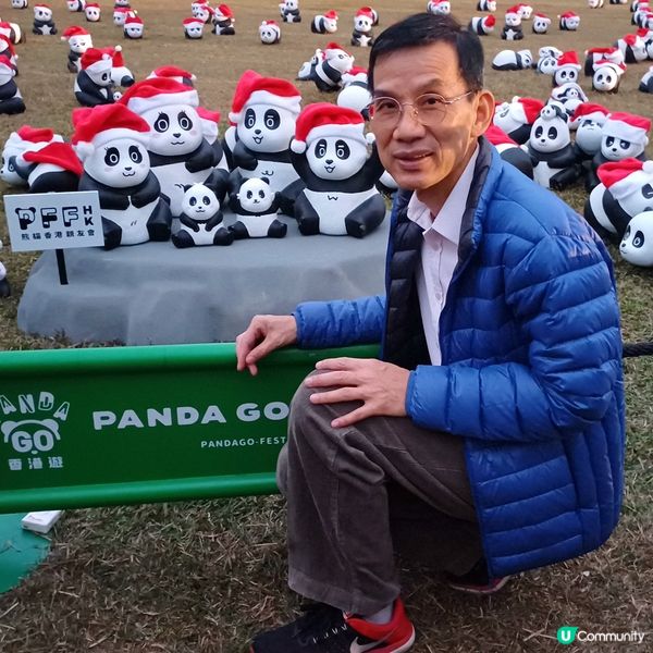 「PANDA GO」熊貓展覽 - 中山紀念公園