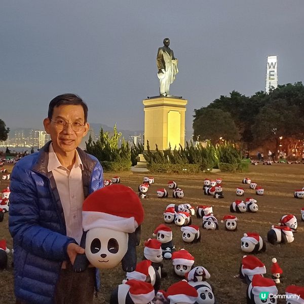 「PANDA GO」熊貓展覽 - 中山紀念公園