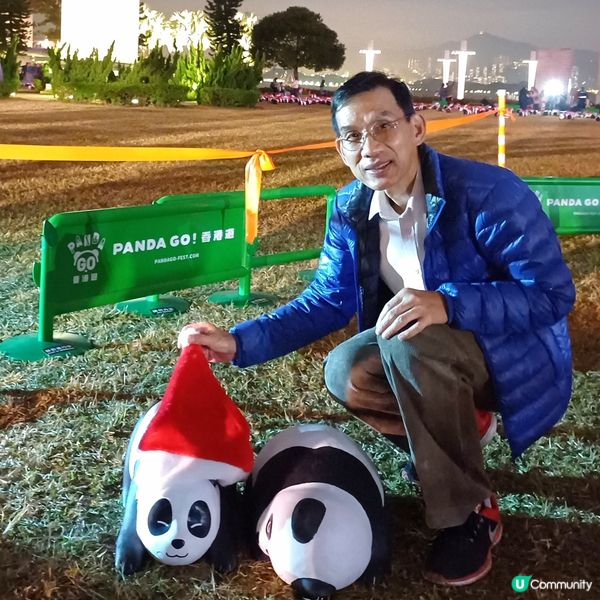 「PANDA GO」熊貓展覽 - 中山紀念公園