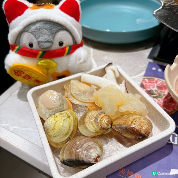 羊腩煲湯底必試✅