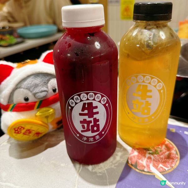 羊腩煲湯底必試✅