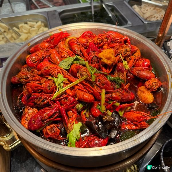 羊腩煲湯底必試✅