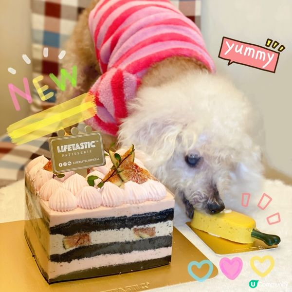 LIFETASTIC🆕無花果番石榴蛋糕 🍰