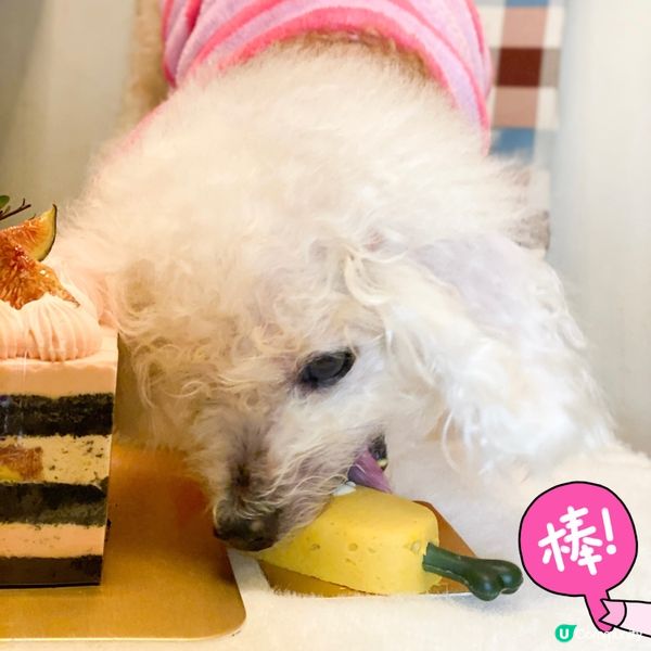 LIFETASTIC🆕無花果番石榴蛋糕 🍰