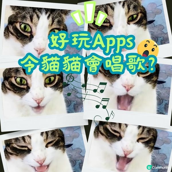 🎤 洗腦神曲！神奇Apps，令麻甩包都識唱歌！ 🤪