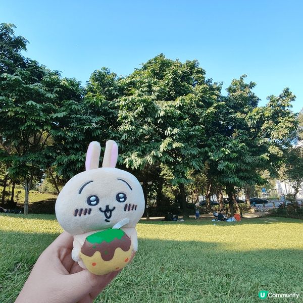 聖誕日間天氣和暖，最啱去野餐。住新界西，近近哋去元朗公園。元...